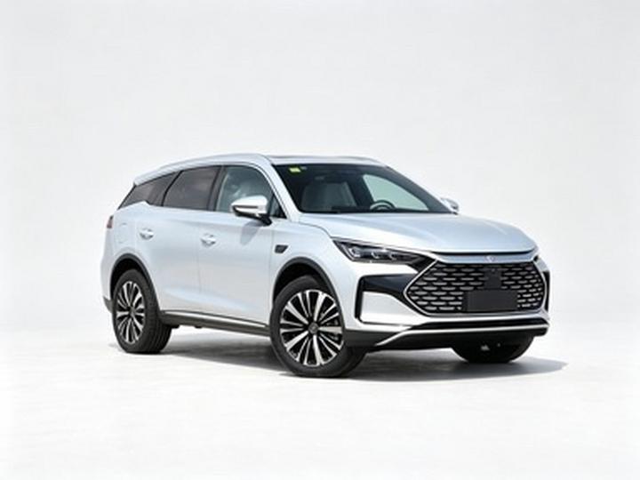Tang EV 2025 ADAS DM-i 175KM Noble photo 2