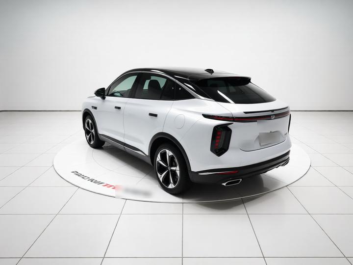 2022 2.0T photo 4