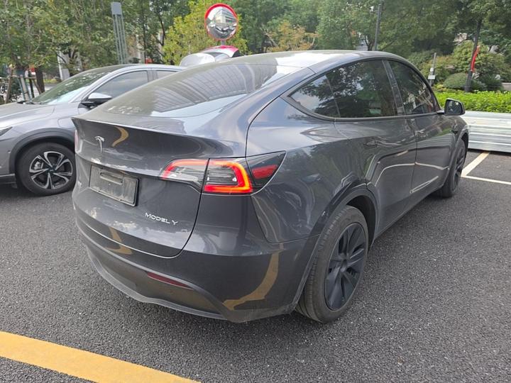 Model Y 2024 RWD photo 6