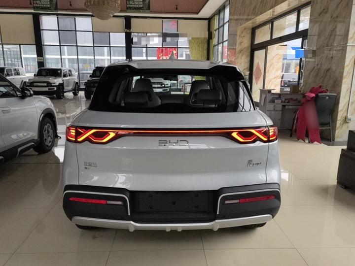 Yuan UP 2027 Flying Spur 301KM Pilot photo 5