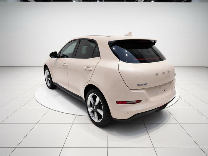 Good Cat 2023 401km Standard Range LFP photo 4