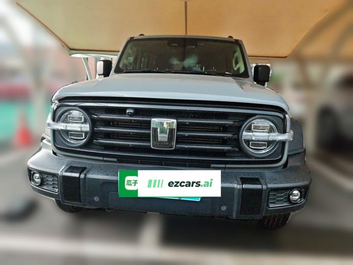 300 2021 Off-road 2.0T Conqueror photo 2