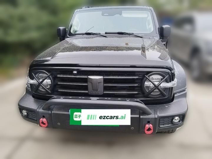300 2021 Off-road 2.0T photo 2