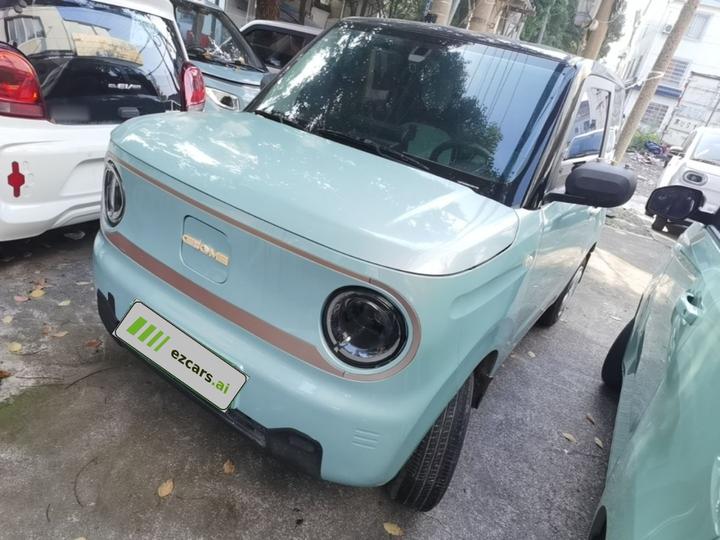 2023 Panda mini 120km