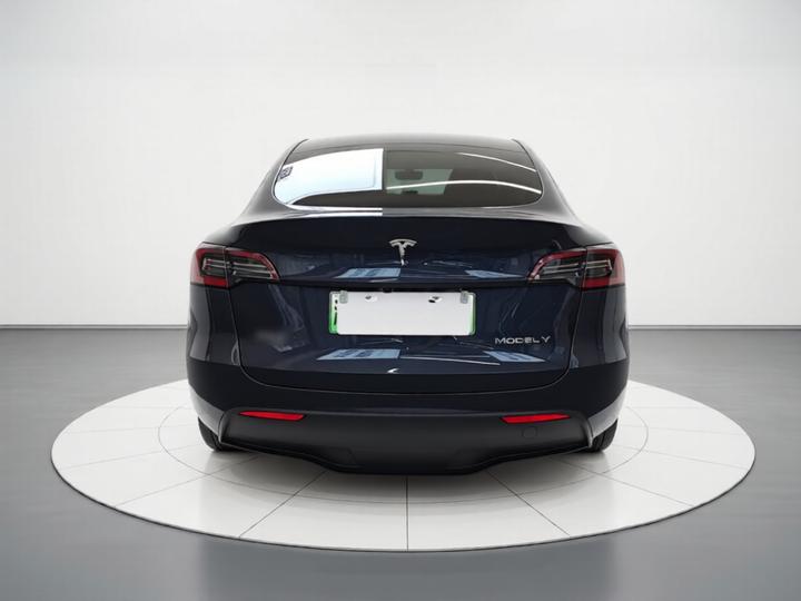 Model Y 2024 Long Range AWD photo 3