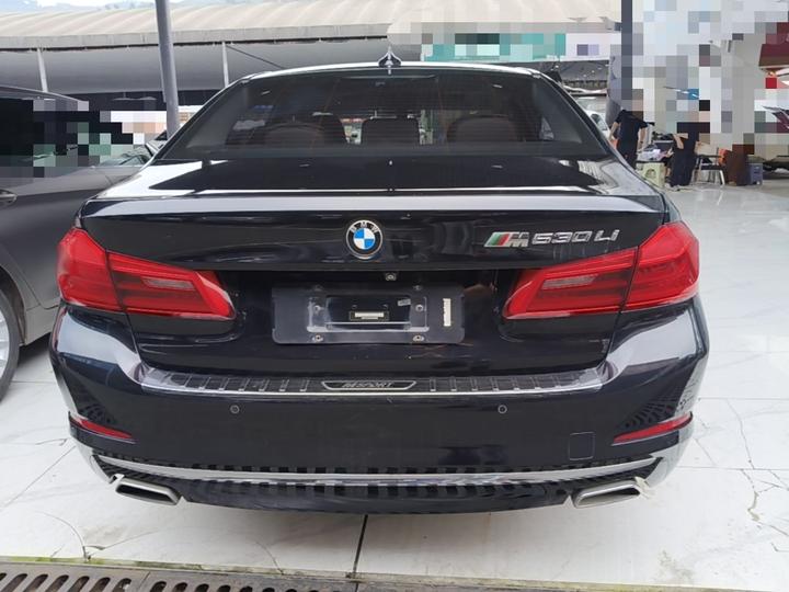 5 Series 2018 530Li Leading Luxury photo 5