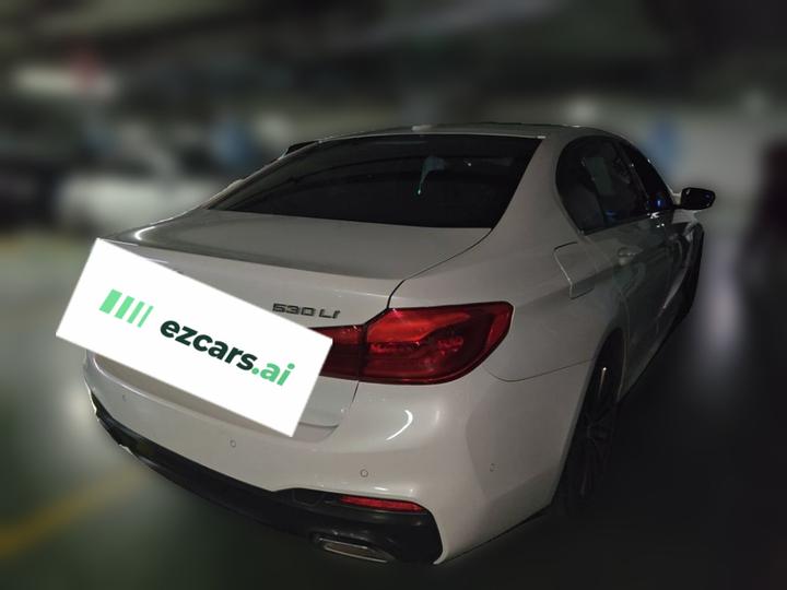 5 Series 2020 530Li Leading M Sport Package photo 6