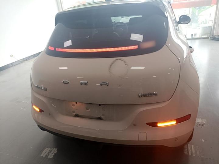Good Cat 2022 400km Standard Range Premium LFP photo 3