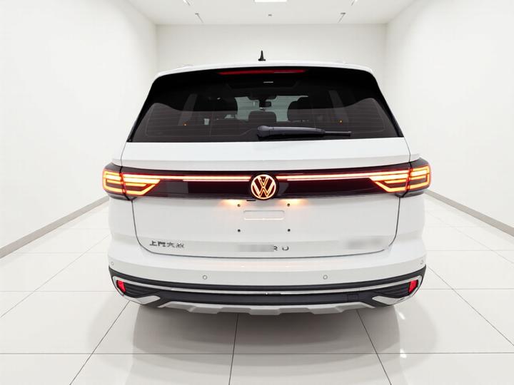 Tharu 2024 300TSI RWD photo 5