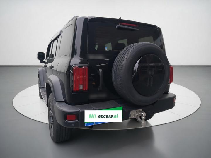 300 2021 Off-road 2.0T photo 4