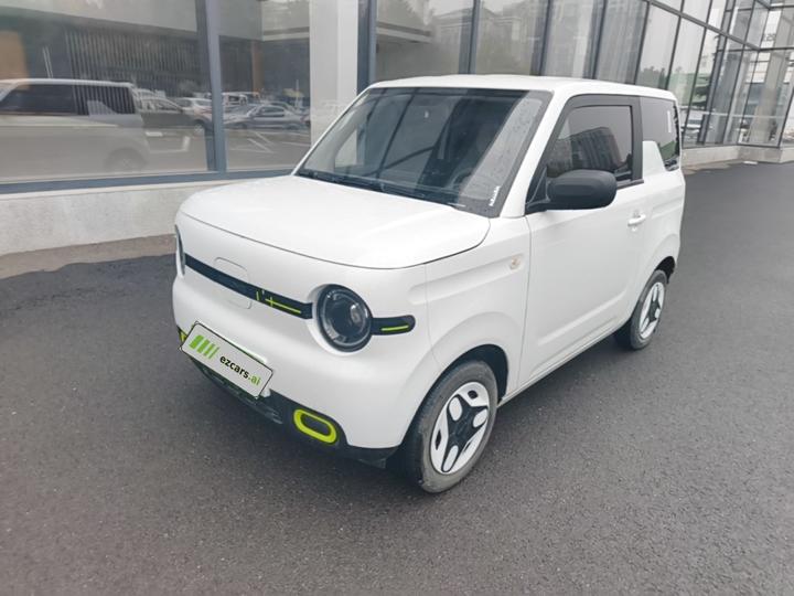 2025 Panda mini 210km Yuan