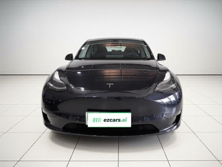 Model Y 2024 Long Range AWD photo 2