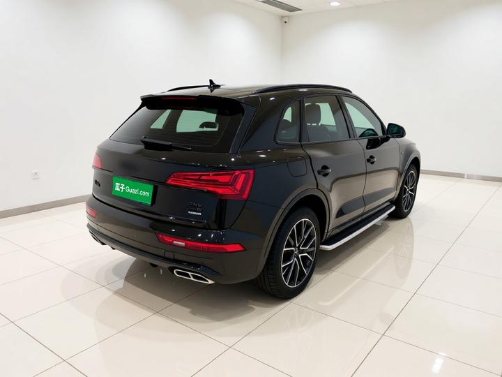 Q5L 2024 45 TFSI Dynamic photo 6