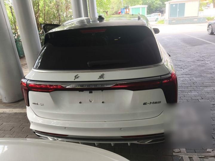 E-HS9 2022 660km 6-Seater photo 3