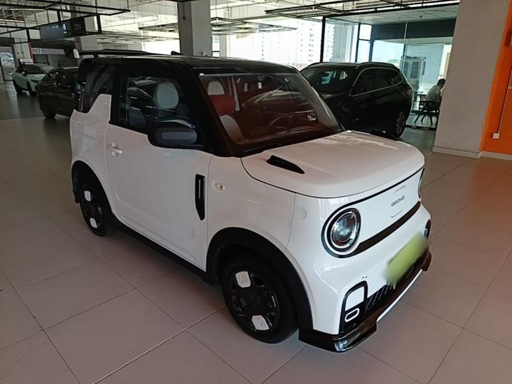 2025 210km Panda photo 3