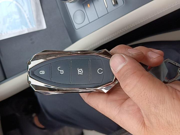Qin L 2024 DM-i 120KM Excellence photo 8
