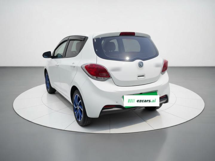 Benni EV 2019 EV360 Standard photo 4