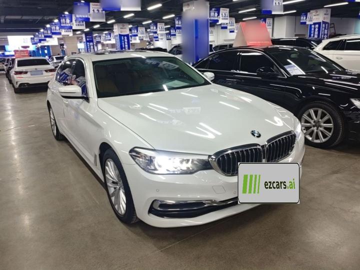 5 Series 2019 530Li Leading Luxury photo 5