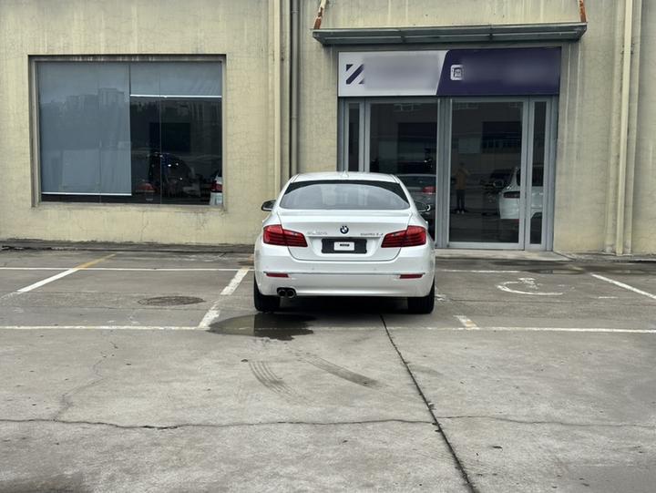 5 Series 2017 525Li Luxury Design Package photo 6