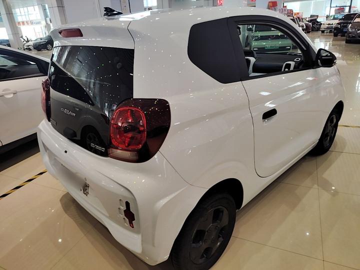 Clever R 2021 302km Excellence photo 6