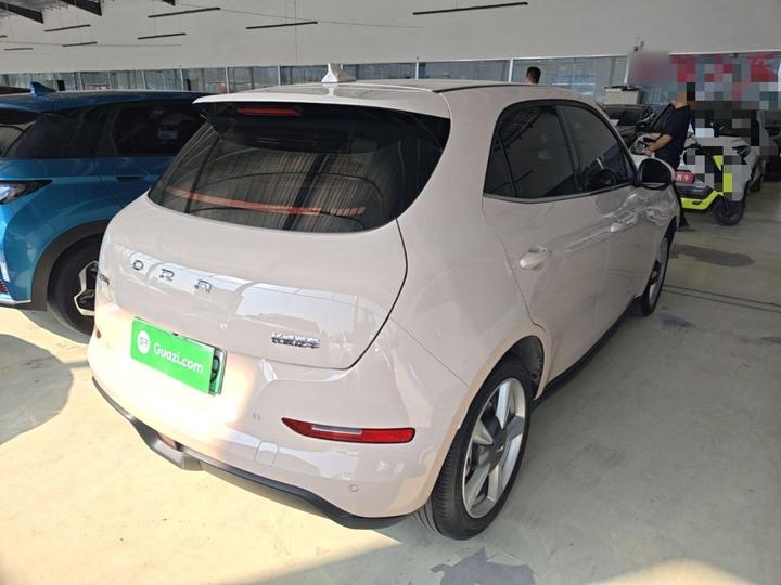 Good Cat 2023 401km Standard Range Luxury LFP photo 6