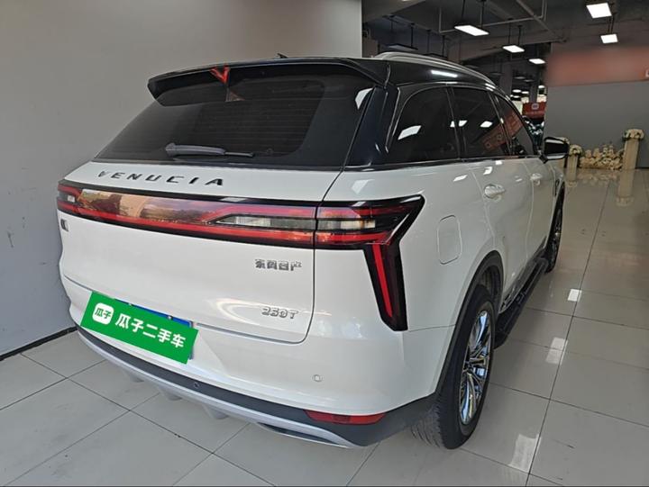 2020 260T AT 48V Mild Hybrid photo 6