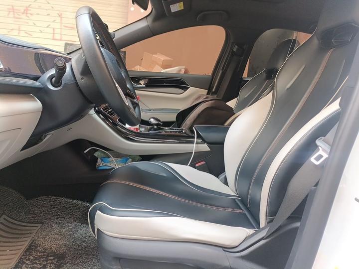 Qin PLUS 2021 EV 500KM Luxury photo 7