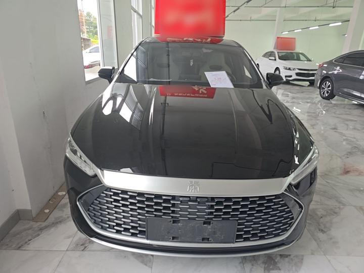 Qin PLUS 2024 Honor DM-i 55KM Leading photo 2