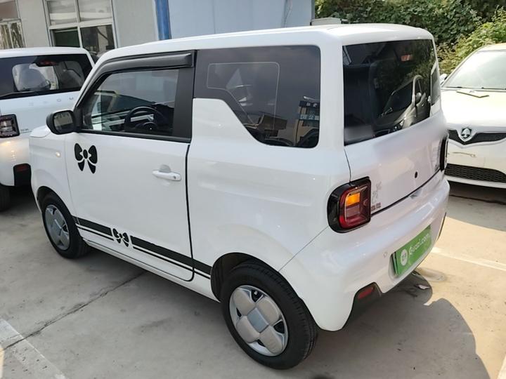 2024 Panda mini 200km Endurance Bear photo 4