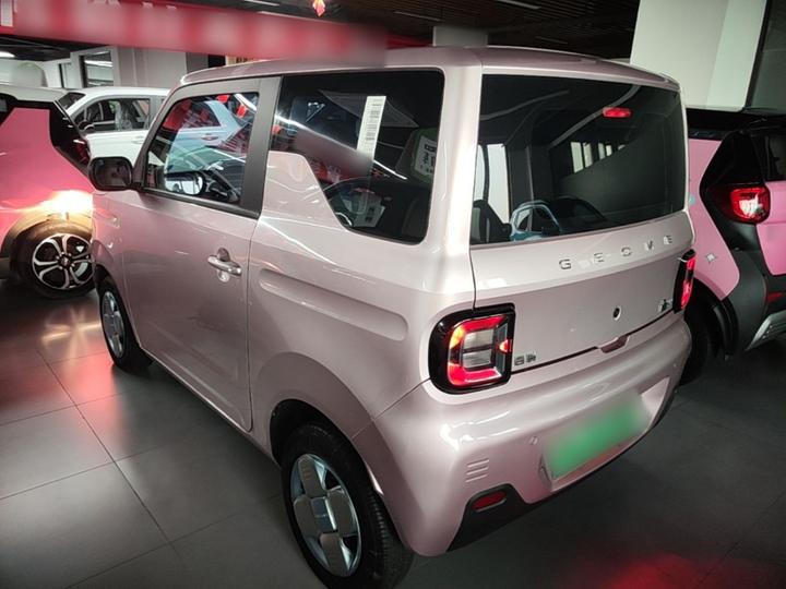 2024 Panda mini 200km Endurance Bear photo 4