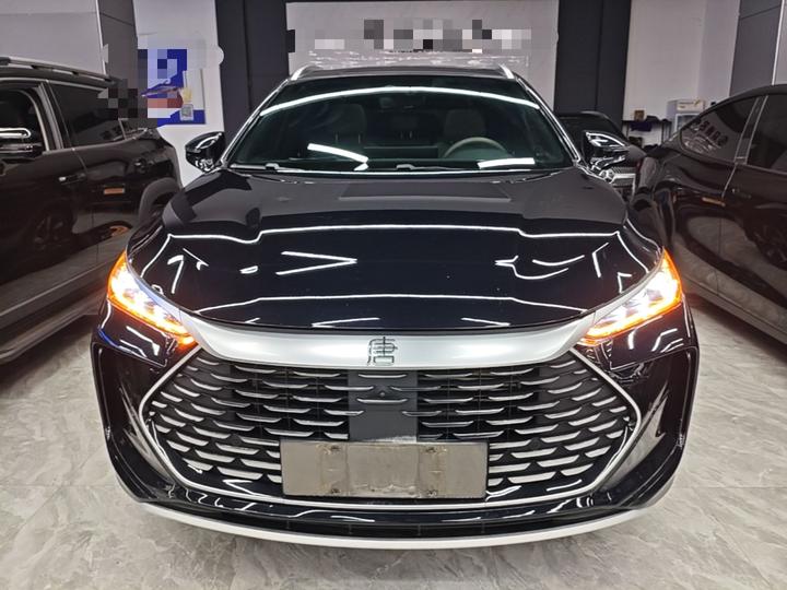 Tang EV 2024 DM-i Honor 112KM Premium photo 2