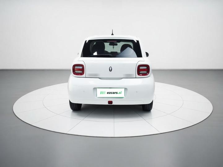 2021 351km Luxury photo 5
