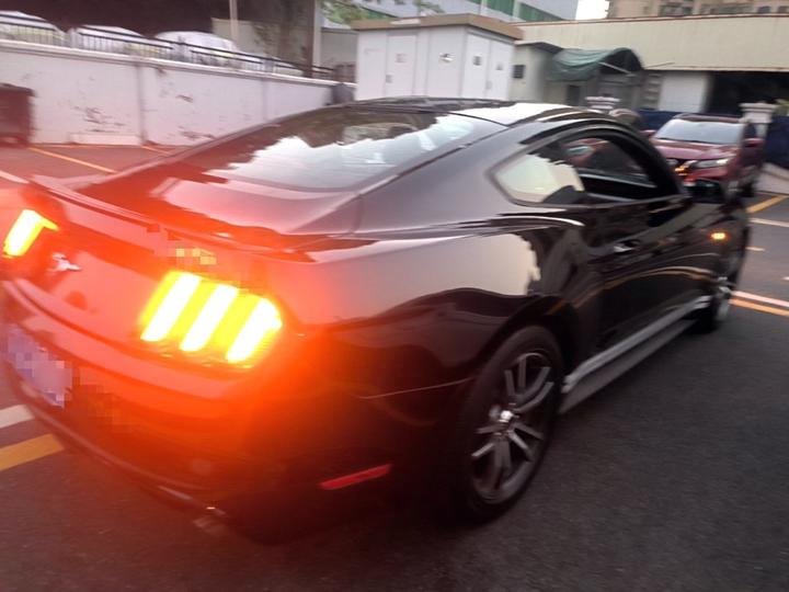 Mustang Parallel Import photo 4