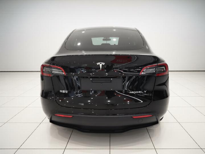 Model Y 2021 Standard Range RWD photo 3
