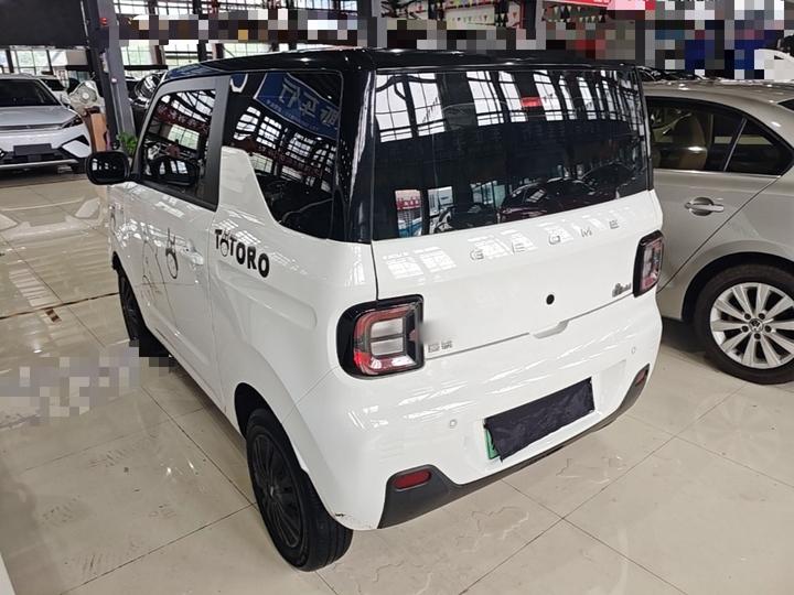 2023 Panda mini 200km Endurance Bear photo 4