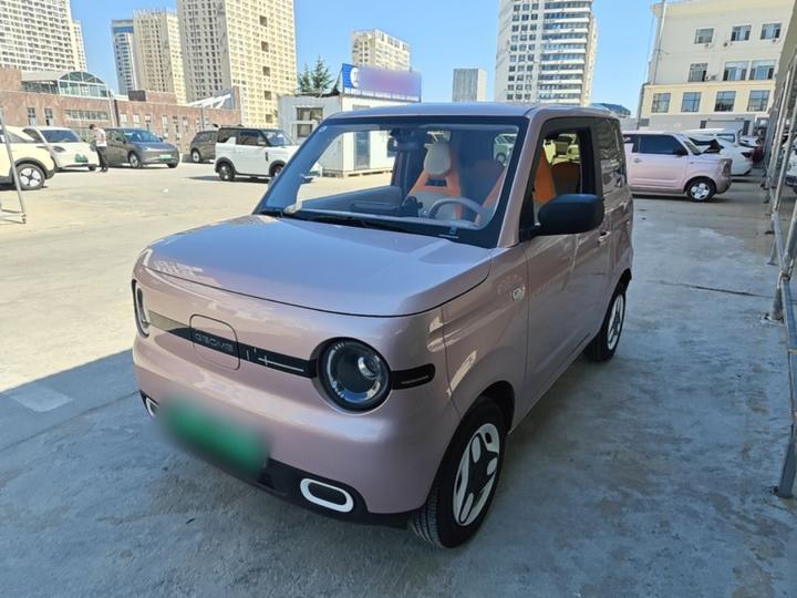 2025 Panda mini 210km Yuan