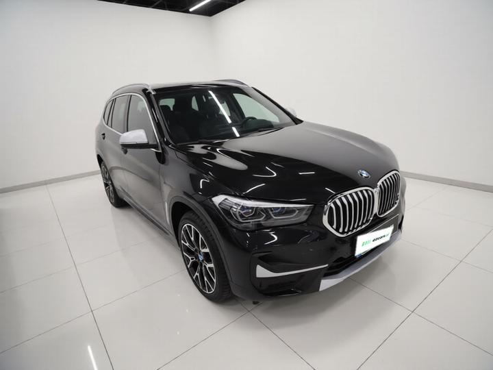 X1 2021 xDrive25Li Exclusive photo 3