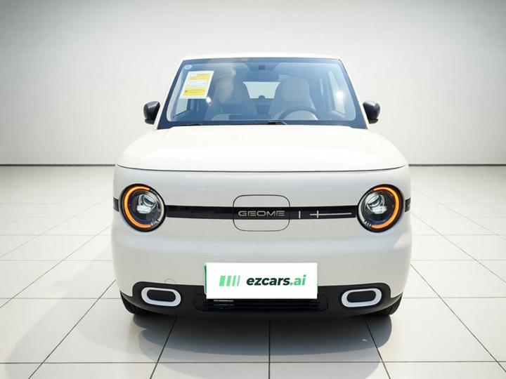 2025 Panda mini 210km Yuan photo 2