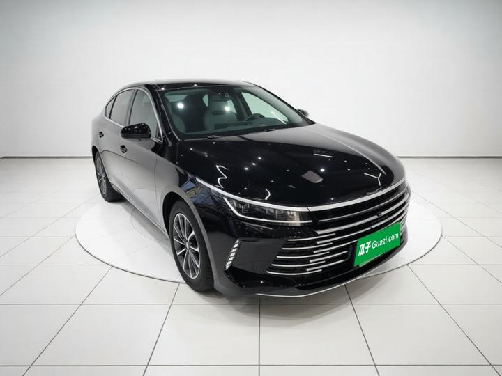 Destroyer 05 2024 Honor DM-i 55KM Luxury photo 3