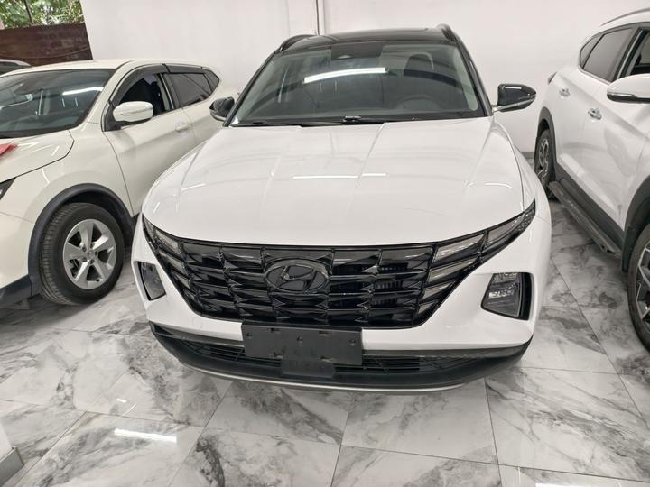 2023 Tucson L 1.5T AT RWD DLX Luxury photo 3