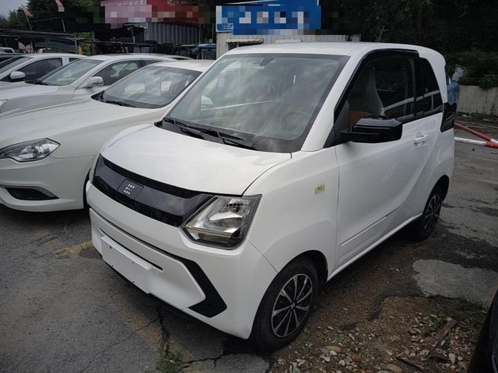 Fengon MINIEV 2022 Luxury