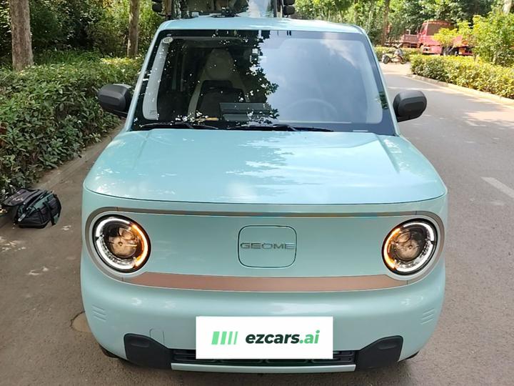 2024 Panda mini 200km Endurance Bear photo 2