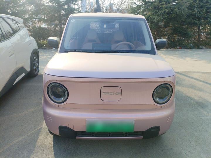 2024 Panda mini 200km Endurance Bear photo 2