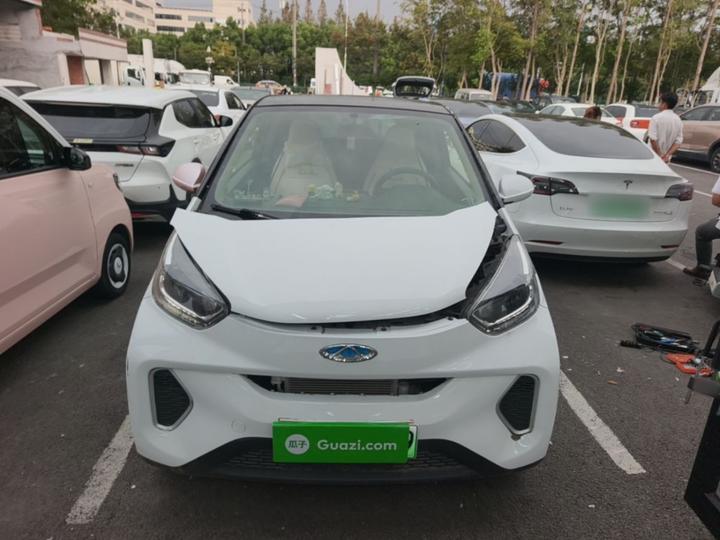 QQ Little Ant 2021 15 LFP photo 2