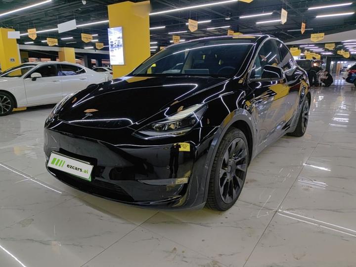 Model Y 2021 Standard Range RWD