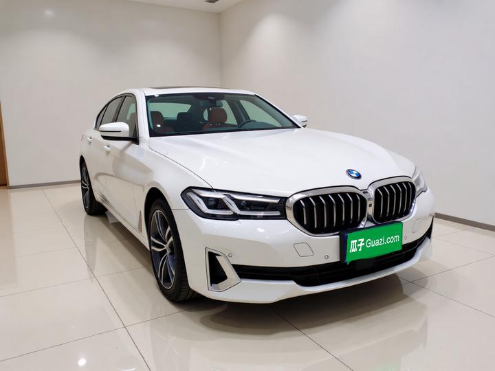 5 Series 2021 530Li Leading Luxury photo 3