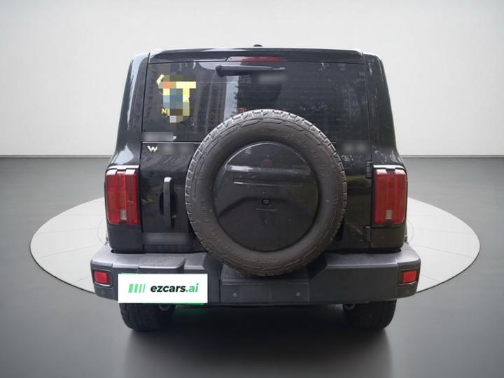 300 2021 Off-road 2.0T Conqueror photo 3