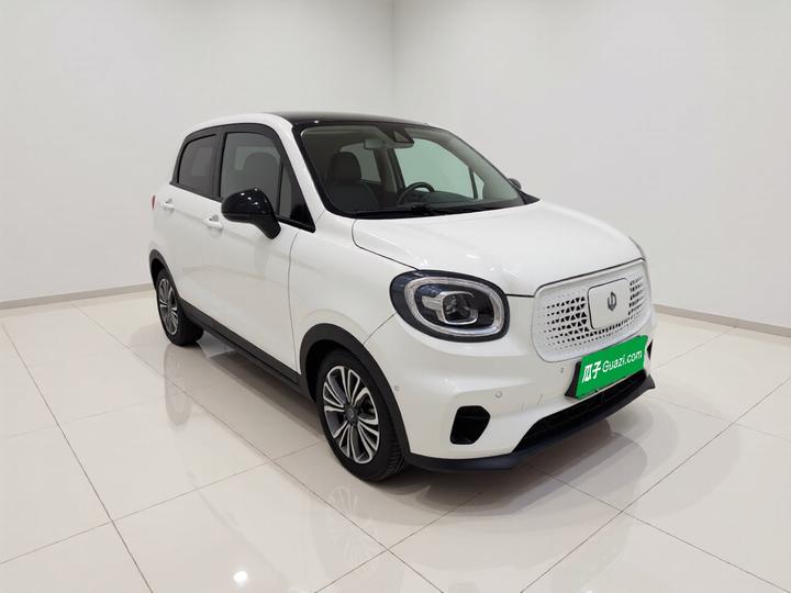 Leapmotor T03 2020 400 Luxury photo 3