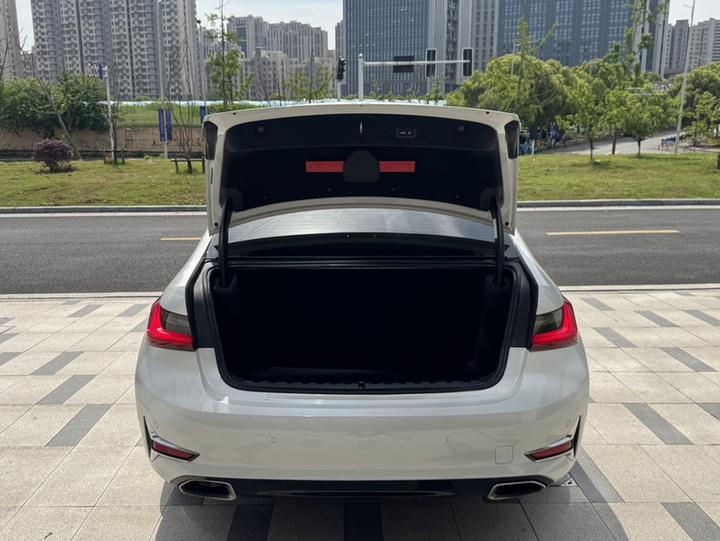 3 Series 2020 325Li Launch Edition photo 8