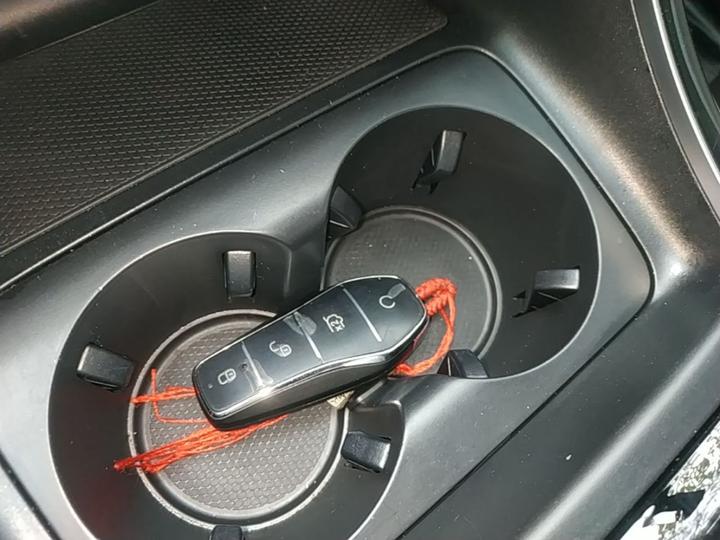 Qin PLUS 2024 Honor EV 510KM Leading photo 8
